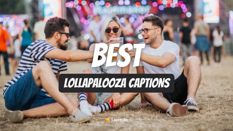 Best Lollapalooza Instagram Captions